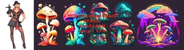 твердый Алексеевка